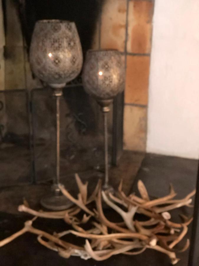 Marsfjaell Mountain Lodge Hotell I Saxnaes Екстериор снимка